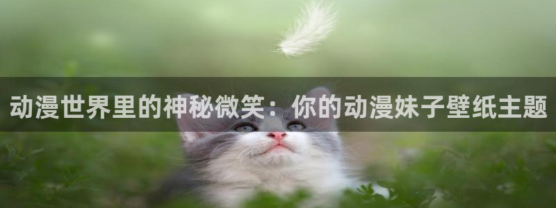 番薯动漫官网在线观看
